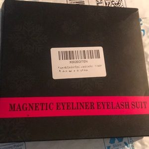 Magnetic eyeliner and eyelashes. Brand new!